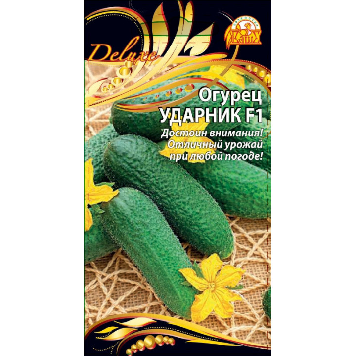 УДАРНИК