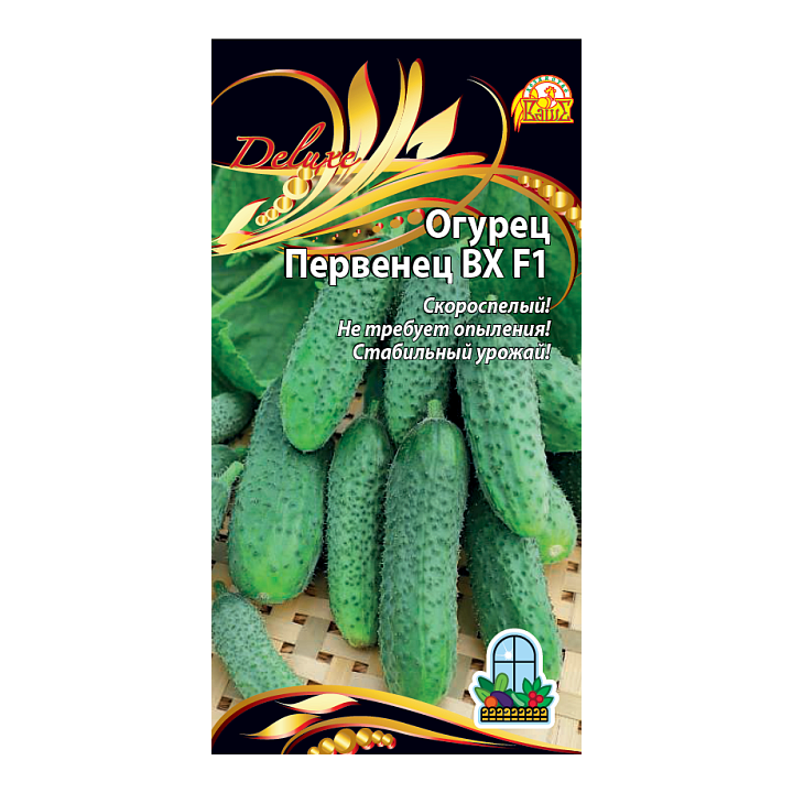 ПЕРВЕНЕЦ ВХ