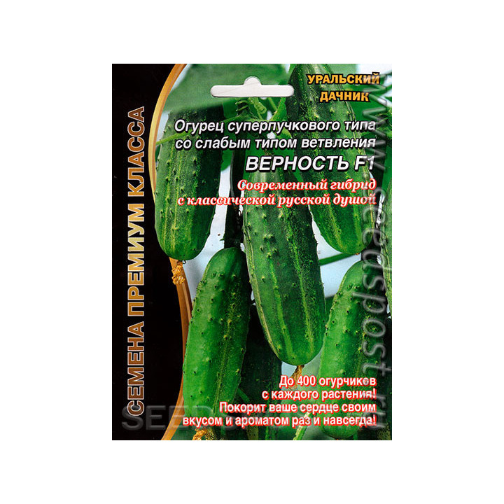 ВЕРНОСТЬ