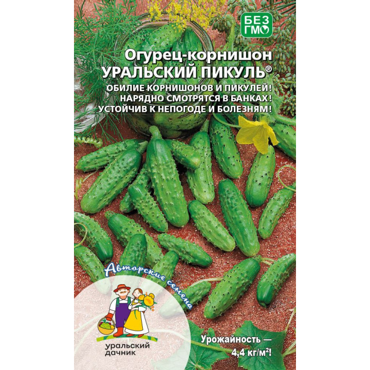 УРАЛЬСКИЙ ПИКУЛЬ