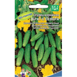 БРАТ С СЕВЕРА