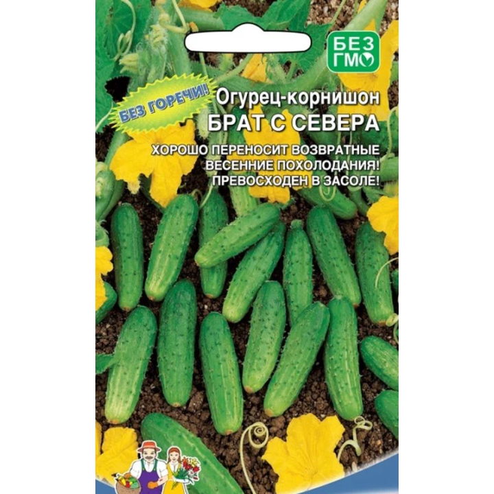 БРАТ С СЕВЕРА