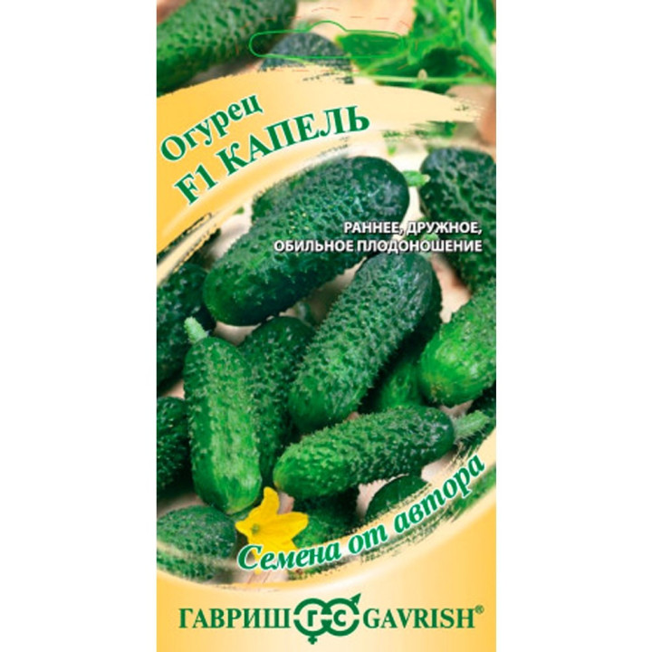 КАПЕЛЬ