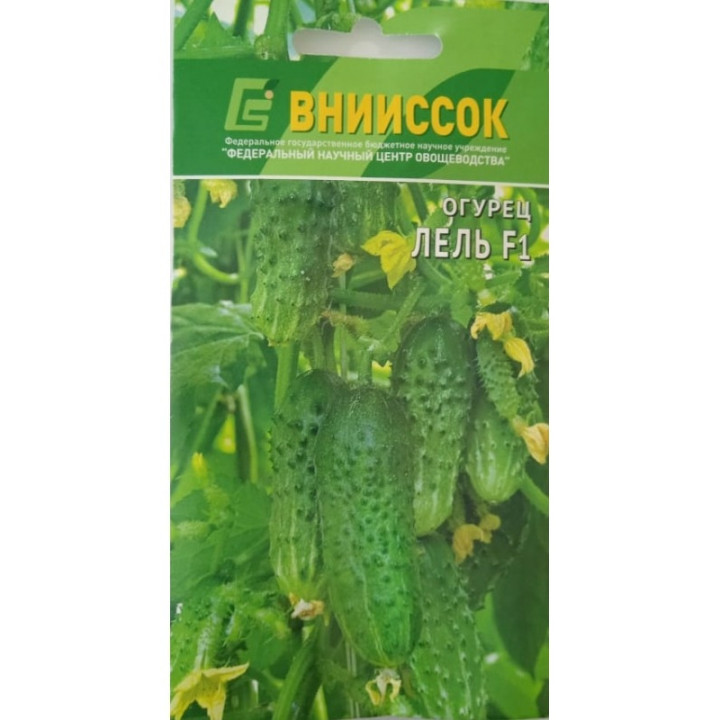 ЛЕЛЬ