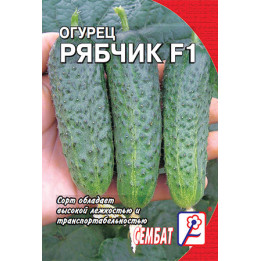 РЯБЧИК