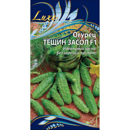 ТЁЩИН ЗАСОЛ