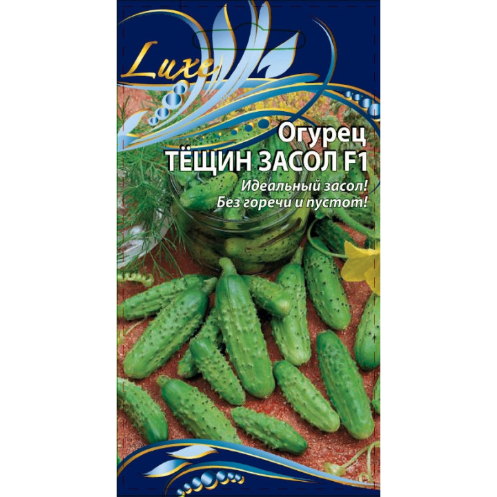 ТЁЩИН ЗАСОЛ