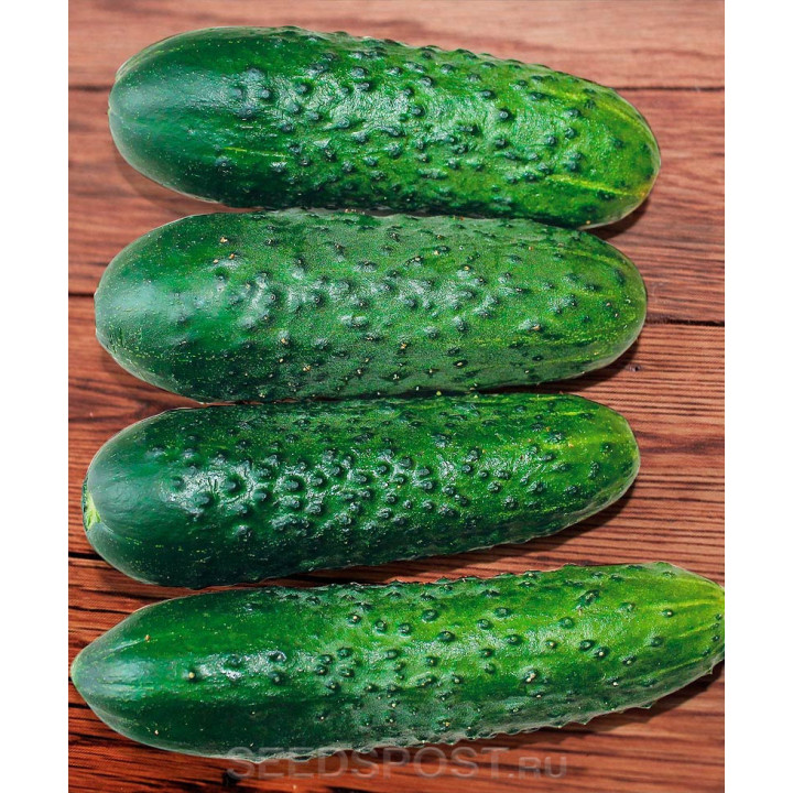 МАРАКАУ