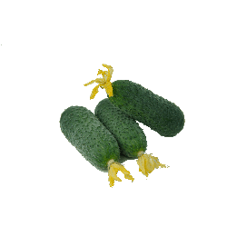 СТАРТАП