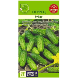 МИГ