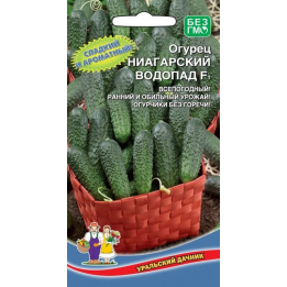НИАГАРСКИЙ ВОДОПАД