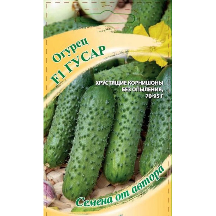 ГУСАР