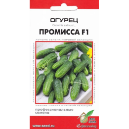 ПРОМИССА