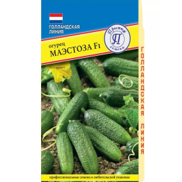 МАЭСТОЗА