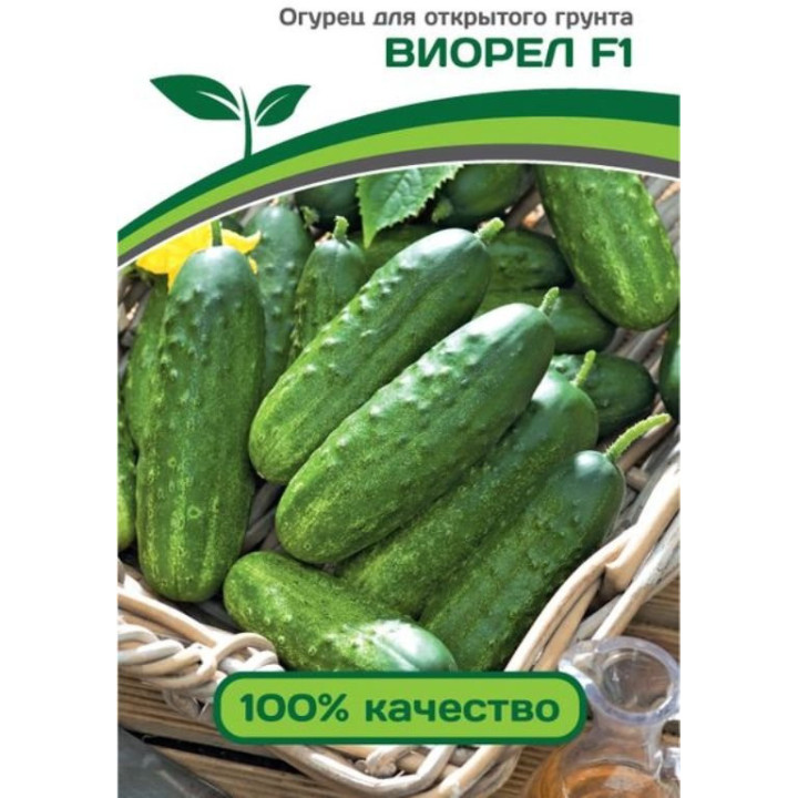 ВИОРЕЛ