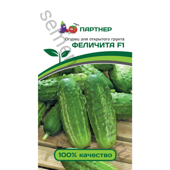 ФЕЛИЧИТА