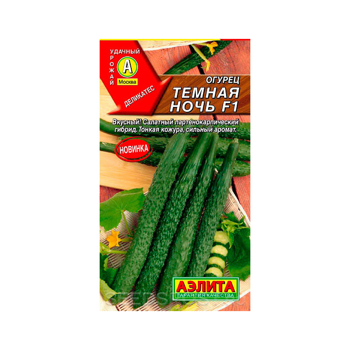 ТЕМНАЯ НОЧЬ