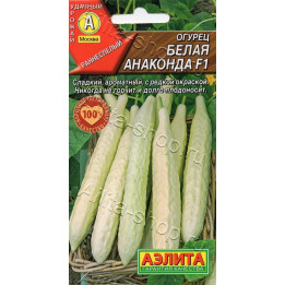 БЕЛАЯ АНАКОНДА