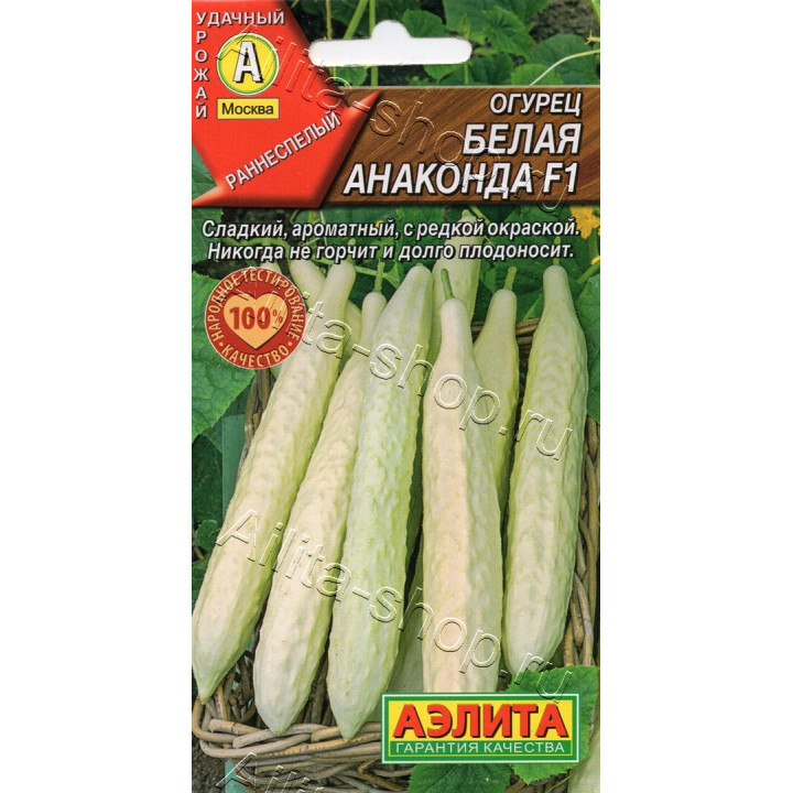 БЕЛАЯ АНАКОНДА