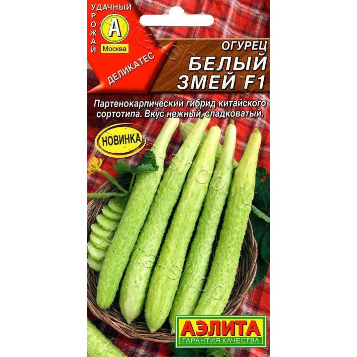 БЕЛЫЙ ЗМЕЙ