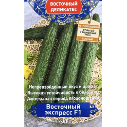 ВОСТОЧНЫЙ ЭКСПРЕСС