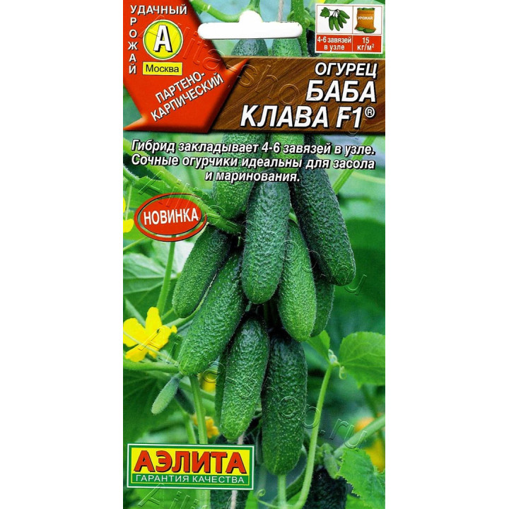 БАБА КЛАВА