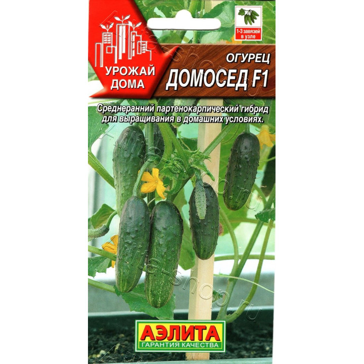 ДОМОСЕД