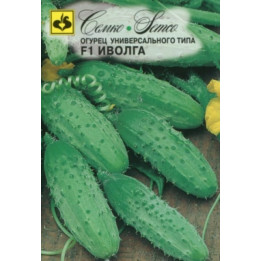 АХИЛЛЕС