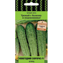 НОВОГОДНИЙ СЮРПРИЗ