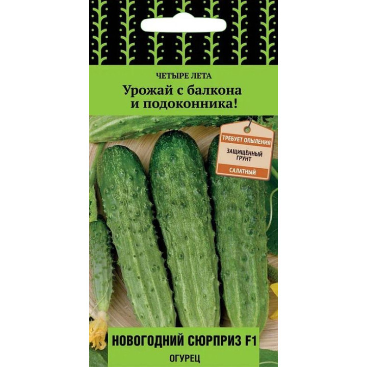 НОВОГОДНИЙ СЮРПРИЗ