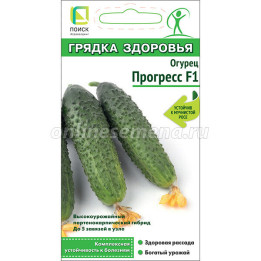 ПРОГРЕСС