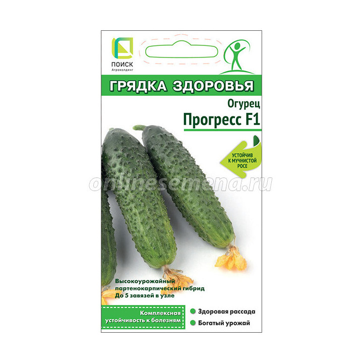 ПРОГРЕСС