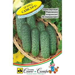 САМСУР