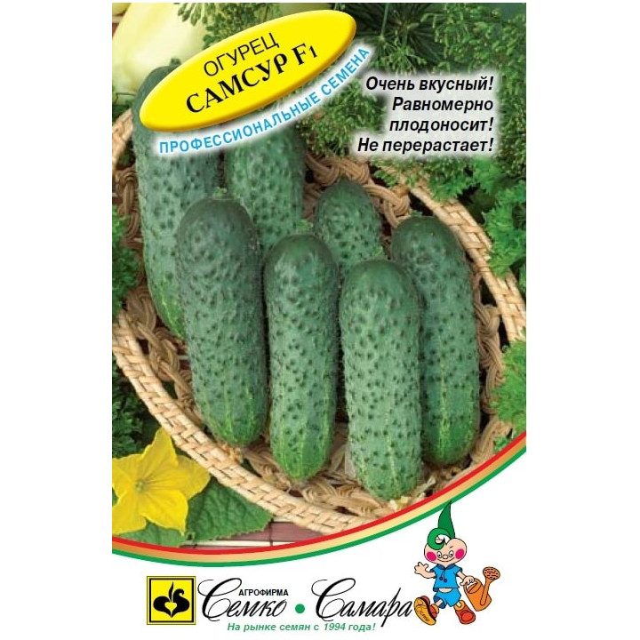 САМСУР