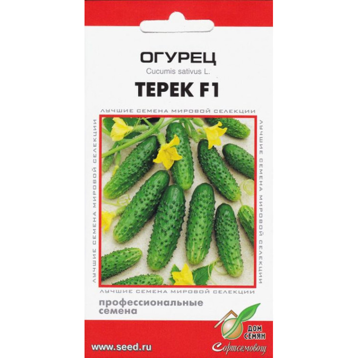 ТЕРЕК