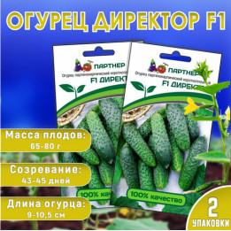 ДИ РЕКТ