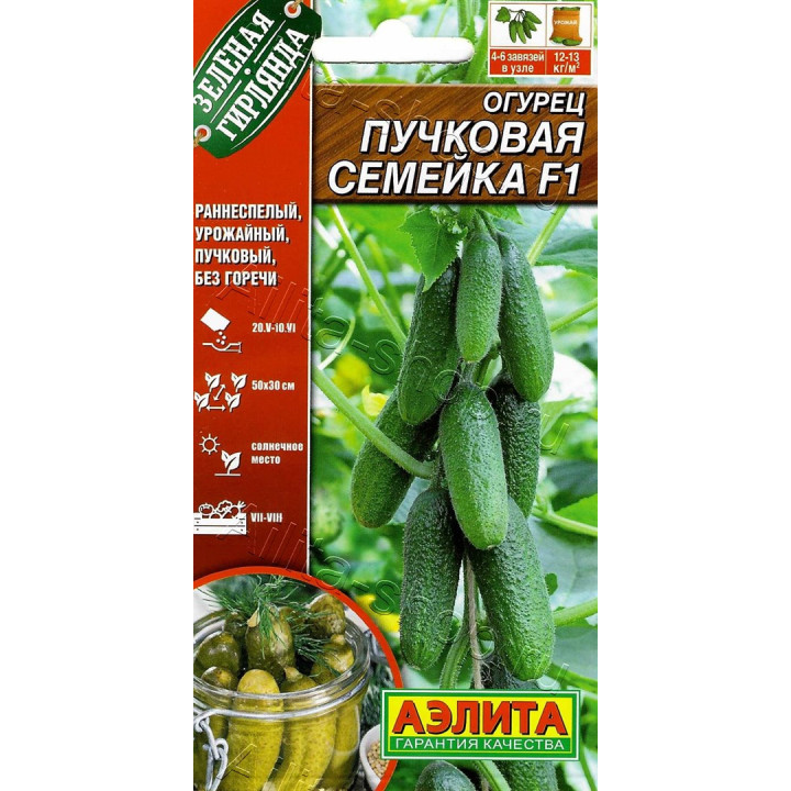ПУЧКОВАЯ СЕМЕЙКА