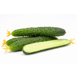 ЯРЫЙ
