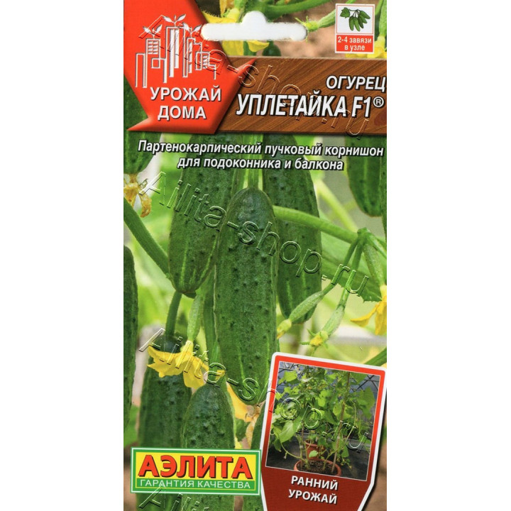 УПЛЕТАЙКА