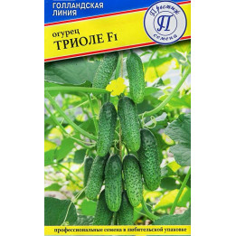 ТРИОЛЕ