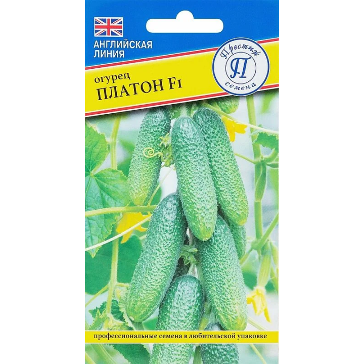 ПЛАТОН