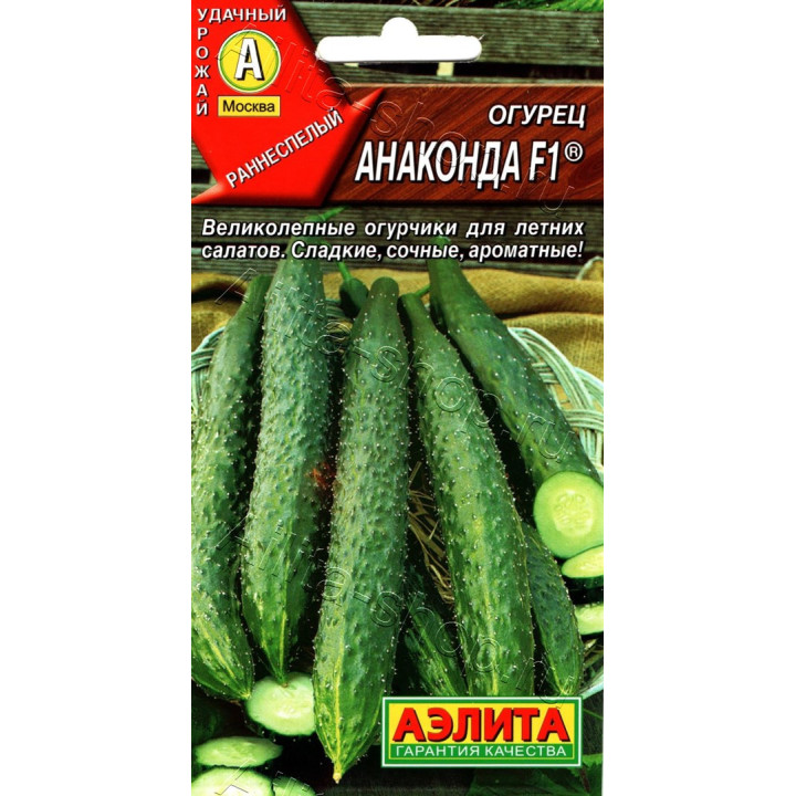 АНАКОНДА