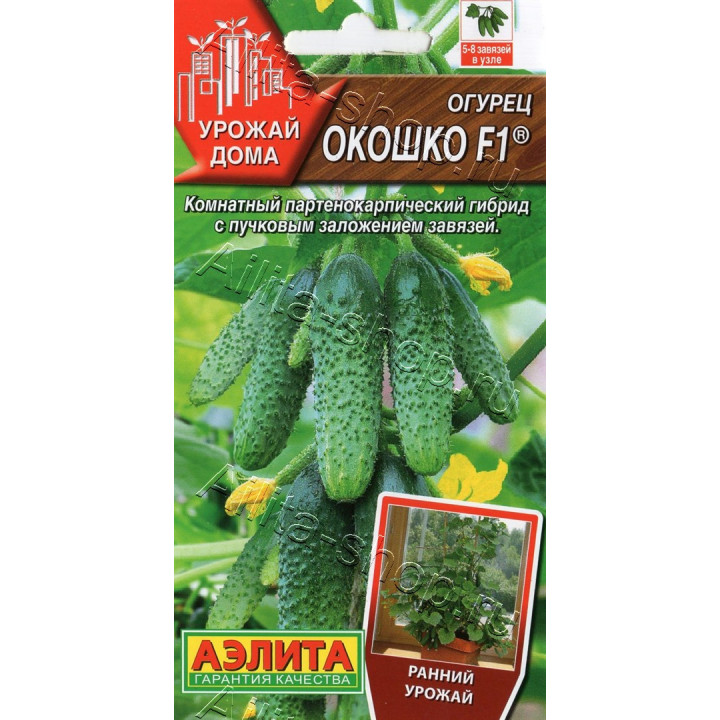 ОКОШКО