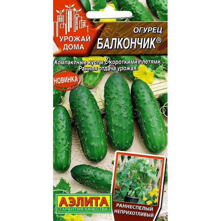 БАЛКОНЧИК