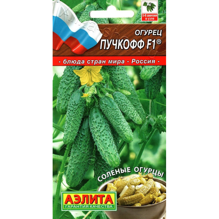 ПУЧКОФФ