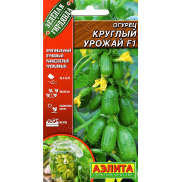 КРУГЛЫЙ УРОЖАЙ