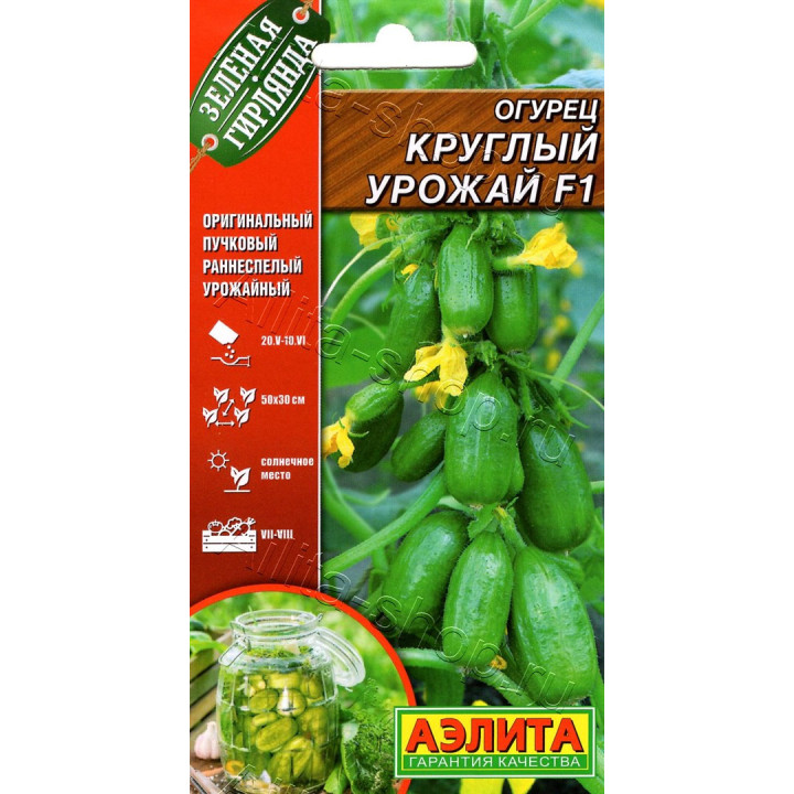 КРУГЛЫЙ УРОЖАЙ