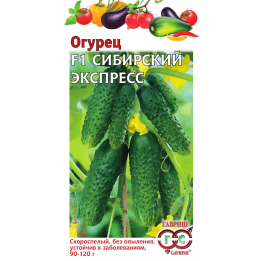 СИБИРСКИЙ ЭКСПРЕСС
