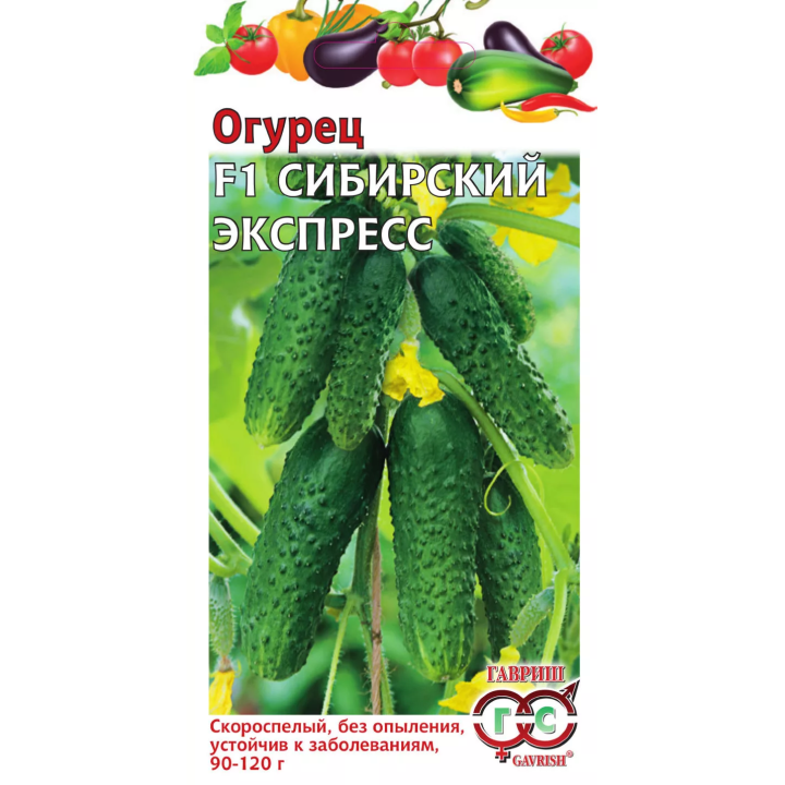 СИБИРСКИЙ ЭКСПРЕСС