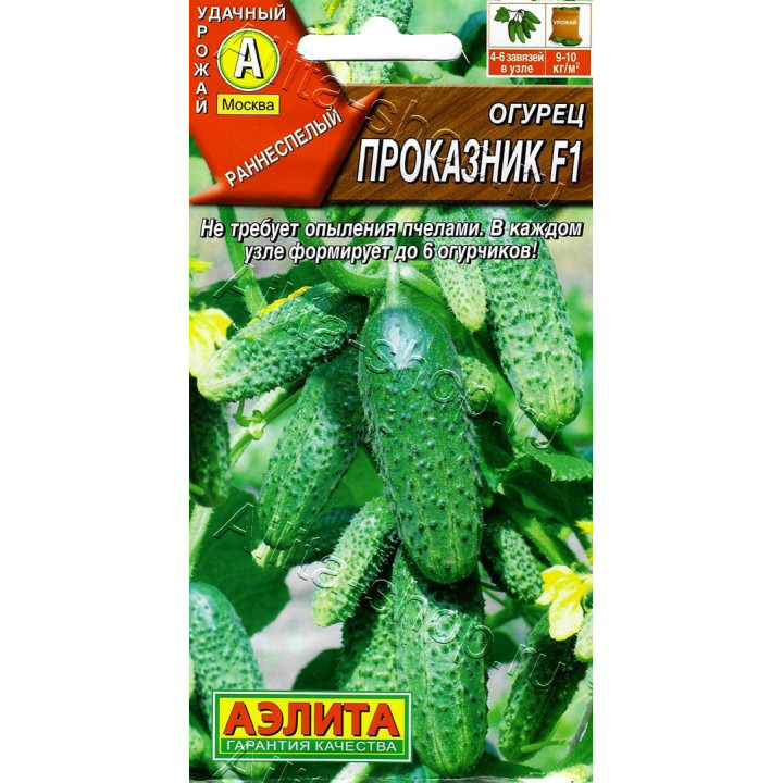 ПРОКАЗНИК